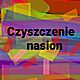 AGREST, Gorczyca.ubin.facelia i inne nasionka Mam troche czasu wiec moge pomc wyczyci z chwastw Wicej inf pod tel 791 165 045, c.100z