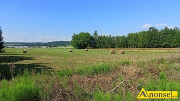 Anonse PASTURKAA, dziaka 1307m<sup>2</sup>, budowlana, Budownictwo jednorodzinne, c.95.000z. PASTURKA