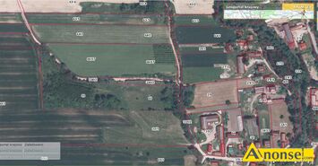 Anonse BODUSZÓW /IWANISKA, działka 17000m<sup>2</sup>, rolno-budowlana, spokojna okolica, wjazd z drogi asfaltowej, przy trasie, atrakcyjne położenie, zadrzew