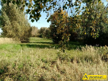 Anonse CHARZ A NR. 707, działka 17a, budowlana, Sprzedam działkę budowlaną w Nałęczowie pow. 17 arów obręb geodezyjny CHARZ A Nr. 707 Cena 190 000