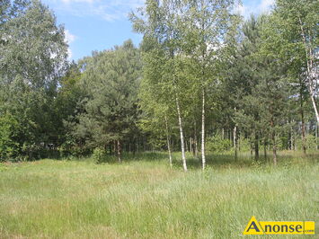 Anonse GÓJSZCZ KOL., działka 2000m<sup>2</sup>, budowlana, Gmina Mrozy, SANATORYJNY KLIMAT, 60 km. od Warszawy.Obszar Natura 2.,000,spokojna, b.bezpieczna i p