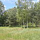 GÓJSZCZ KOL., działka 2000m<sup>2</sup>, budowlana, Gmina Mrozy, SANATORYJNY KLIMAT, 60 km. od Warszawy.Obszar Natura 2.,000,spokojna, b.bezpieczna i p