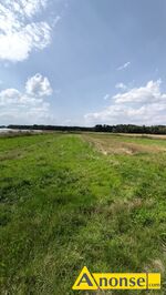 Anonse GROTKI, działka 29600m<sup>2</sup>, rolna, Sprzedam 3h w miejscowości Grotki duża działka 39m x 760m, c.249.999zł do uzg.. GROTKI