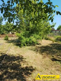 Anonse KOZIA GÓRA, działka 300m<sup>2</sup>, rekreacyjna, Działka rekreacyjna ROD Malinka 2 na działce jest domek letniskowy 5x5 woda sprzedaż notarialna więc