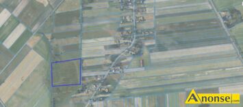 Anonse PODEDWÓRZE/BOJARY, działka 3.1056m<sup>2</sup>, rolna, Sprzedam działkę w województwie lubelskim, w powiecie parczewskim, w gminie Podedwórze, obręb Bo