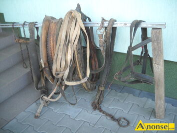 Anonse CHOM�TO, u�ywane o wymiarach 33x59 cm, w komplecie z postronkami, pasem nagrzbietowym, noszelnikiem i w�dzid�ami oraz podk�adem. Stan uprz�