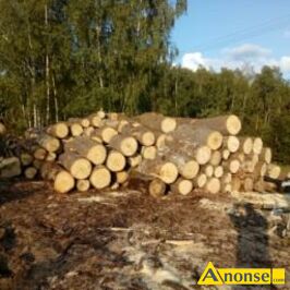 Anonse DREWNO, z transportem, do kominka, grab 400 z�/m, d�b 350z�/m,gotowe do palenia, c. od 350z�. MA�K�W