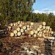 DREWNO, z transportem, do kominka, grab 400 z�/m, d�b 350z�/m,gotowe do palenia, c. od 350z�. MA�K�W
