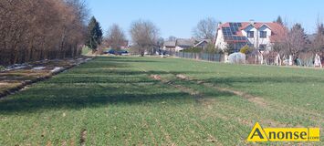 Anonse LUBLIN, UL. PTASIA, dzia�ka 3944m<sup>2</sup>, budowlana, cz�ciowo ogrodzona, wjazd z drogi asfaltowej, pierwsza w pasie zabudowy, pr�d, gaz, Dzia�ka