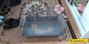 Anonse KLATKA, d�-56 szer-36 wys-34 cm, c.50z�. RADOM