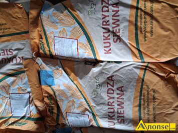 Anonse KUKURYDZA, KADRYL, kwalifikowana C/1 do siewu. KADRYL FAO270 Ma�opolskiej Hodowli Ro�lin. Zalecana na kiszonk�. W naszej ofercie ok. 20 odmi