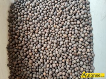 Anonse �UBIN, Sprzedam lubin Niski.wysoki ��ty Niebieski Bialy S�odki Go�ki Posiadam te� ladna wyke jara Gorczyce Facelie Gryke Rzodkiew oleista Z