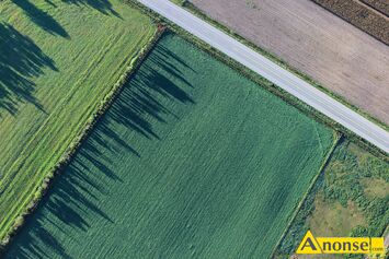 Anonse NAWOZY, wapniowe, Kreda nawozowa Granucal Omya dost�pna luzem. Posiadamy w sprzeda�y naw�z wapniowy Granucal marki Omya dost�pny luzem. Prod