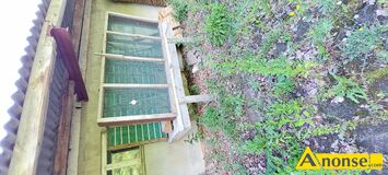 Anonse STO�Y DO P�UKANIA �LIMAK�W., nazwa hodowli: �limaki, D�ugojowska 40, STO�Y DO P�UKANIA �LIMAK�W SZT 3, c.700z�. RADOM