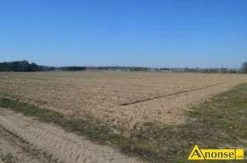 Anonse - BUJAK, działka 24000m<sup>2</sup>, rolna, Sprzedam 2,4 ha ziemie orna w jednym kawałku po 8,5zł/ m2,w miejscowości Bujak gmina Skaryszew woj mazowiecki Anonse BUJAK, działka 24000m<sup>2</sup>, rolna, Sprzedam 2,4 ha ziemie orna w jednym kawałku po 8,5zł/ m2,w miejscowości Bujak gmina Skaryszew woj mazowiecki