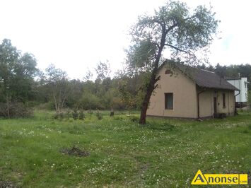 Anonse SADEK, Wypoczynek Przy Lesie-25 min. od Radomia, - Pok�j do wynaj�cia w budynku mieszkalnym - 25 minut jazdy od centrum Radomia Pok�j wyposa
