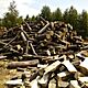 DREWNO, do kominka, do pieca, z transportem, Drewno �upane grab, d�b, inne li�ciaste i iglaste gotowe do palenia, c. od 300z�. MA�K�W 663-