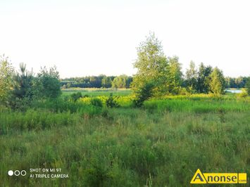 Anonse MAJDAN ZAHORODY�SKI, dzia�ka 600m<sup>2</sup>, budowlano-rekreacyjna, atrakcyjne po�o�enie, zalesiona, spokojna okolica, pozwolenie na budow�, mo�liwo�