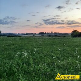 Anonse WIDOKOWA, dzia�ka 1030m<sup>2</sup>, rolna, pierwsza w pasie zabudowy, wjazd z drogi asfaltowej, przy g��wnej drodze, mo�liwo�� pod��czenia pr�du, mo�l