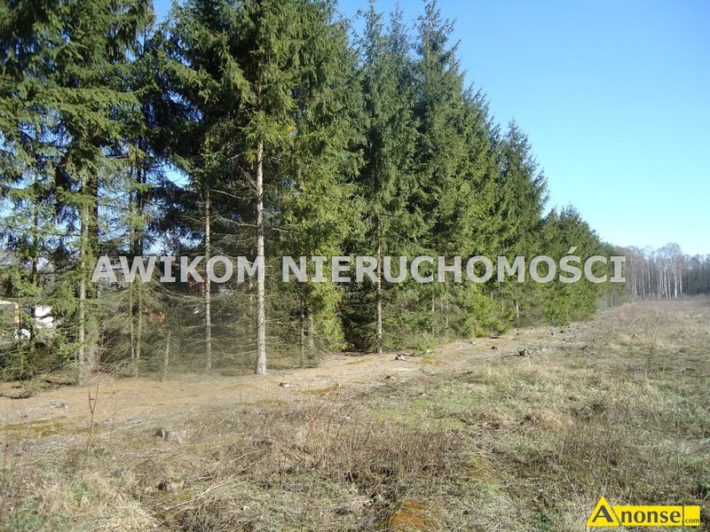 BARTOSZWKA , dziaka 10630m2, budowlana,opis dodatkowy: prd, dojazd asfalt, bartoszwka gm. abia - image 0 - anonse.com