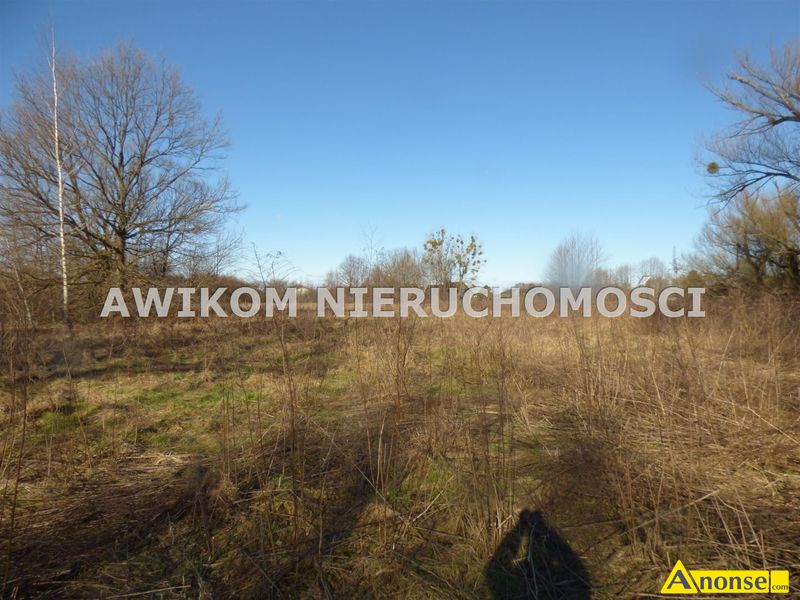 KI , dziaka 19000m2, budowlana,opis dodatkowy: gaz, prd, kanalizacja, dua dziaka pod inwestyc - image 0 - anonse.com