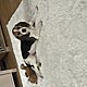 BEAGLE , 12 tygodni,opis dodatkowy: Sprzedam piękną zdrową suczkę z rodowodem.
Beaggle.
Zaszczepion - image 3 - anonse.com